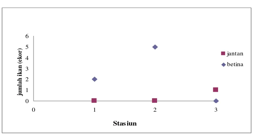 Tabel 5. Nilai faktor kondisi ikan baung (Mystus nemurus) jantan dan betina 