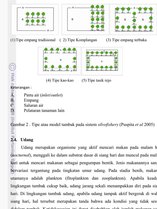 Gambar 2 . Tipe atau model tambak pada sistem silvofishery (Puspita et al 2005)   