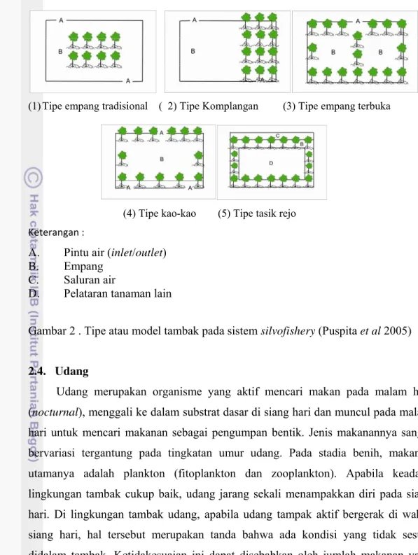 Gambar 2 . Tipe atau model tambak pada sistem silvofishery (Puspita et al 2005) 