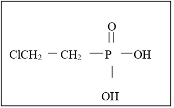 Gambar 1. Rumus bangun asam 2-kloroetil fosponat