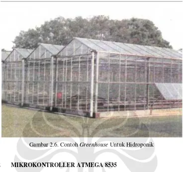 Gambar 2.6. Contoh Greenhouse Untuk Hidroponik 