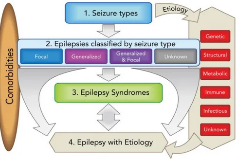 Tatalaksana Medikamentosa - Tatalaksana Epilepsi