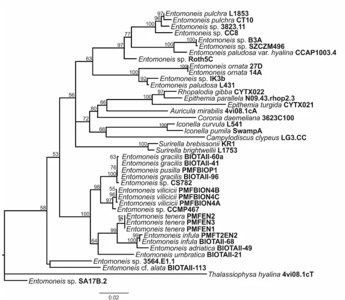Figure S2. Consensus ML phylogram constructed from psbC alignment containing 42 partial 