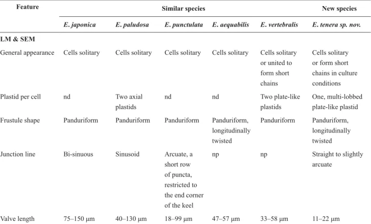 TABLE 4. Morphological features of Entomoneis tenera sp. nov. in comparison to similar species: E
