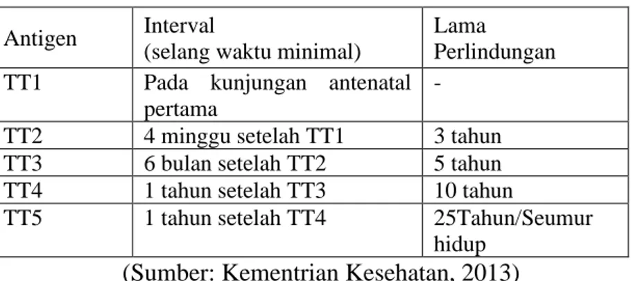 Tabel 2.3 Selang waktu pemberian imunisasi Tetanus Toxoid  Antigen  Interval 