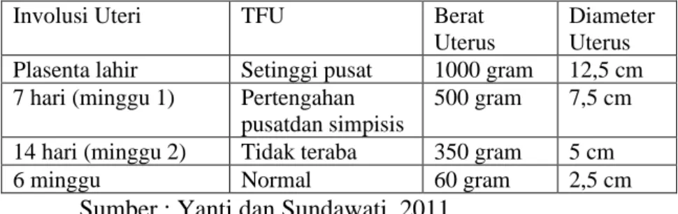 Tabel  2.  6.  Perubahan-Perubahan  Normal  Pada  Uterus  Selama 