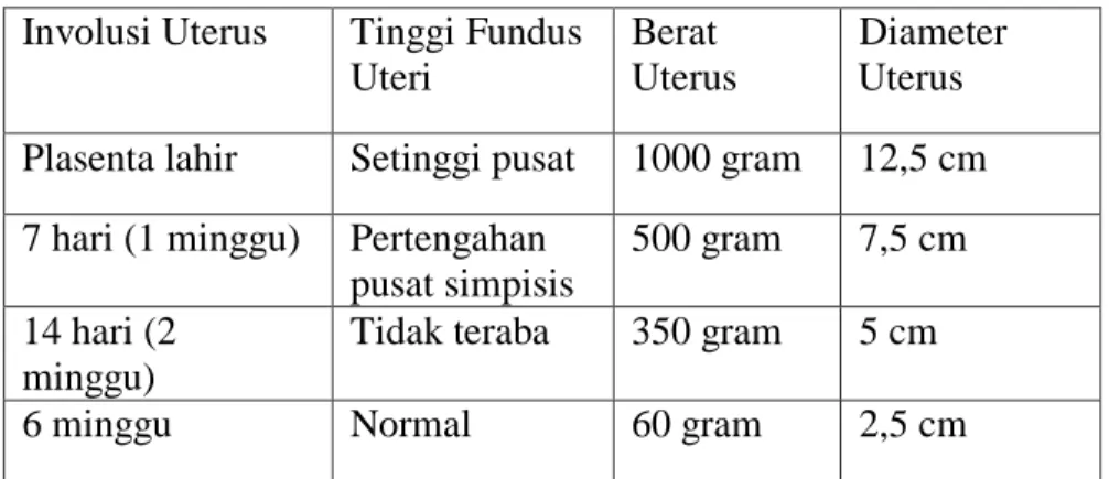 Tabel 6. Perubahan normal pada uterus 