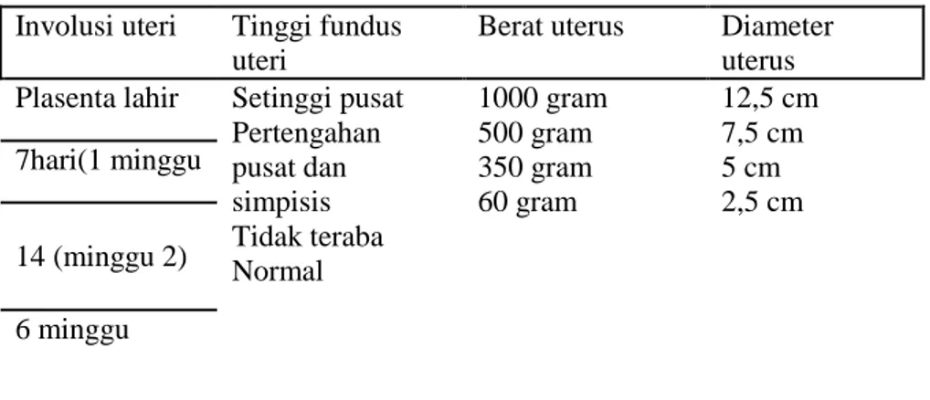 Tabel 2.7  Involusi uteri  Tinggi fundus 