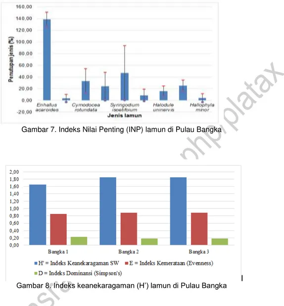 Gambar 7. Indeks Nilai Penting (INP) lamun di Pulau Bangka 