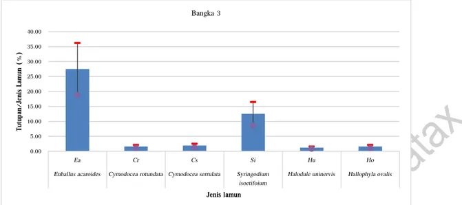 Gambar 6. Penutupan jenis lamun (%) di Pulau Bangka  Transek 3 
