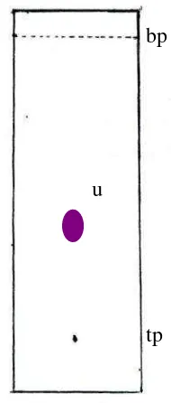 Gambar 9. Kromatogram hasil KLT isolat 1 