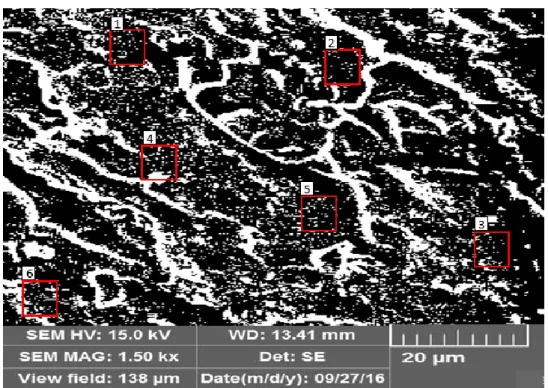Gambar 14. Hasil foto SEM patahan komposit filler karbon aktif fraksi berat 0,05 gram 