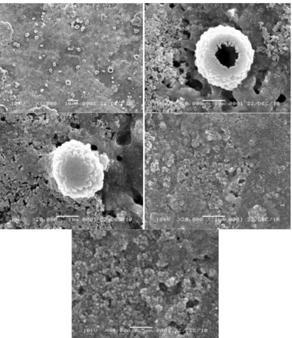 Gambar  6  menunjukkan  foto  SEM  lapisan  tipis  senyawa  kalsium  fosfat  tampak  dari  muka