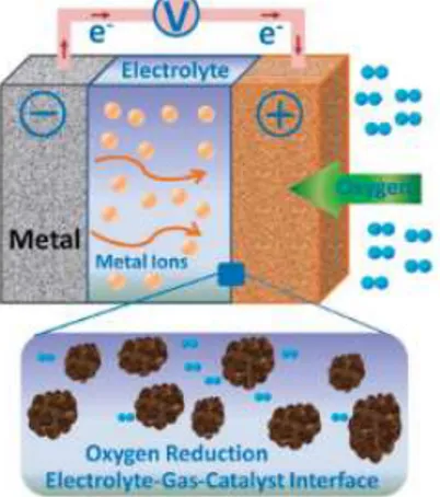 Gambar II.1 Struktur dan Prinsip Kerja Metal-air Batteries 