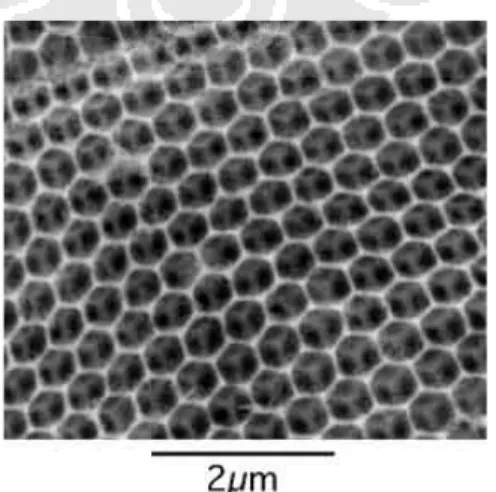 Gambar 2.2 Foto mikro material mesopori silika MCM-41. [7]