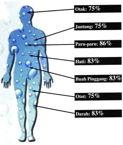 Gambar 1. Presentase air dalam organ Tubuh        manusia (Handoyo,2014) 