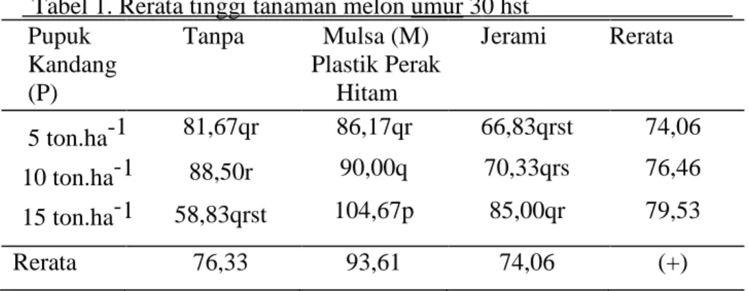Tabel 1. Rerata tinggi tanaman melon umur 30 hst   Pupuk                                   Kandang  (P)                                                                         Tanpa Mulsa (M) Plastik Perak Hitam  Jerami  Rerata  5 ton.ha -1 10 ton.ha  -15 