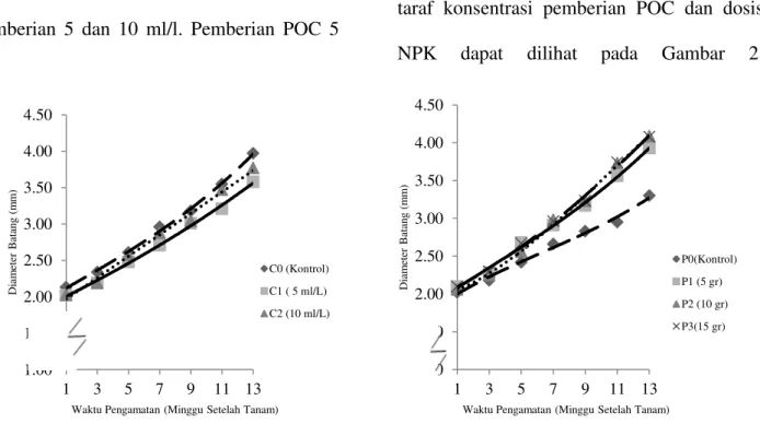 Grafik  pertambahan  diameter  batang  tanaman biwa (cm) 1-13 MST pada beberapa  taraf  konsentrasi  pemberian  POC  dan  dosis  NPK  dapat  dilihat  pada  Gambar  2.