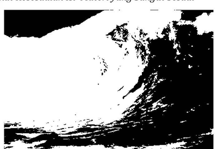 Gambar Gelombang Laut Ketika Tsunami Terjadi  Sumber  http://indonesiarayanews.com