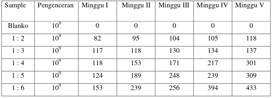 Table 4.2. Data Perhitungan jumlah total koloni Rhizobium  