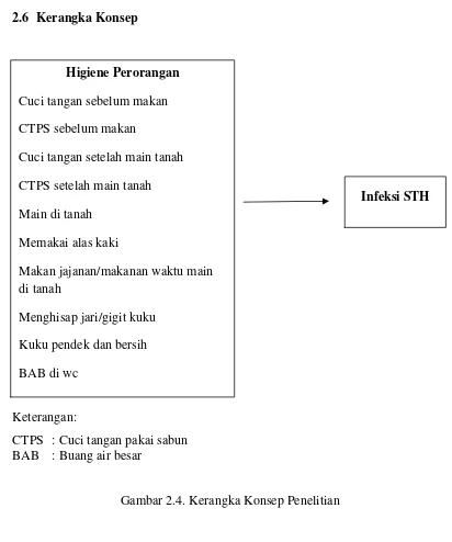 Gambar 2.4. Kerangka Konsep Penelitian 