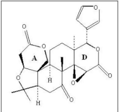 Gambar 5. Struktur molekul limonin (Maier, 1999) 