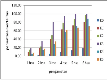 Grafik 1. Laju mortalitas rayap 