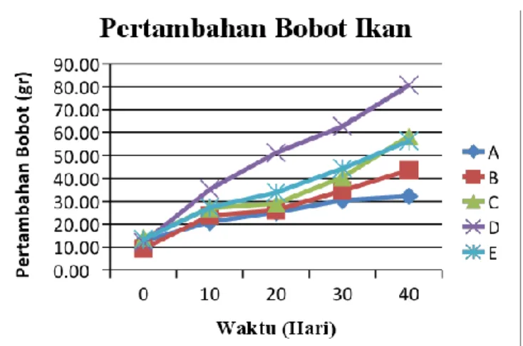 Gambar 1. Pertumbuhan Bobot Benih Ikan Lele Sangkuriang 