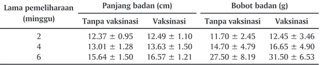 Tabel 1. Panjang dan bobot tubuh rata–rata benih lele Clarias gariepinus