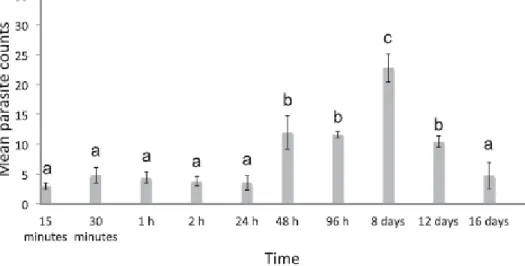 Gambar 8.  Jumlah  rata-rata ektoparsit Neobenedenia sp. yang menginfeksi sampel  ikan  kakap (Lates calcarifer) pada  kepala (A), badan (B) dan sirip (C);  ditentukan  dengan menggunakan tes HSD Tukey (sumber Gonzal et al.,  2015) 
