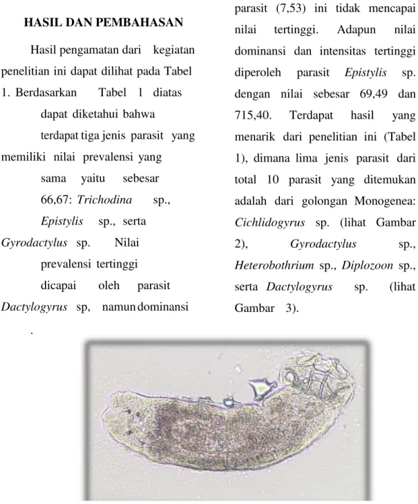 Gambar 2. Tampilan ektoparasit Cichlidogyrus sp. perbesaran 100 dari perairan  Waduk Darma Kabupaten Kuningan, Provinsi Jawa Barat 