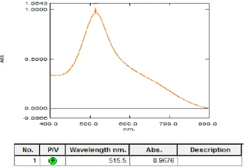 Gambar 4.1 Kurva serapan maksimum larutan DPPH 40 µg/mL dalam metanol  menggunakan spektrofotometer UV-Visibel 