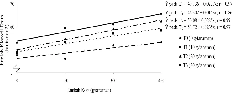 Gambar 5.  Hubungan antara jumlah klorofil daun jagung manis umur 7 MST dengan pemberian limbah kopi pada berbagai dosis tepung darah sapi 