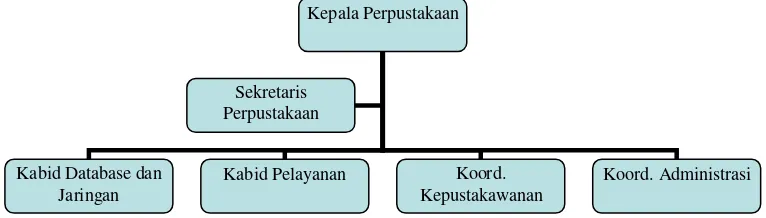 Gambar 1.1 Struktur organisasi perpustakaan 