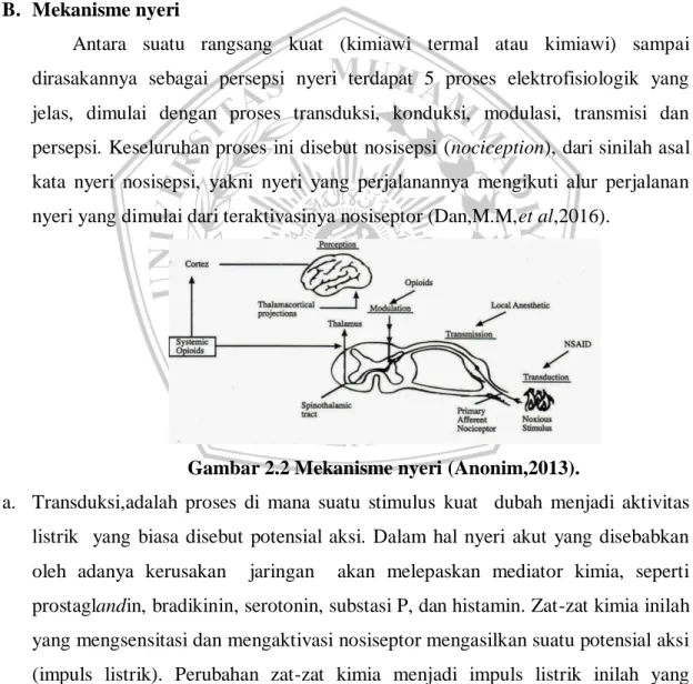 Gambar 2.2 Mekanisme nyeri (Anonim,2013). 