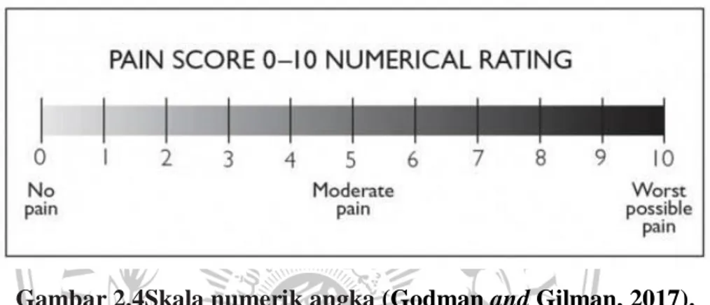 Gambar 2.4Skala numerik angka (Godman and Gilman, 2017).  Pasien menyebutkan  intensitas nyeri berdasarkan angka 0 – 10