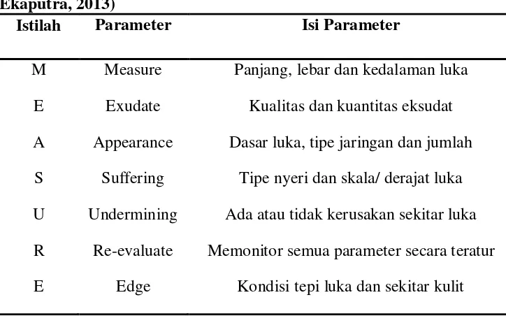 Tabel 2.1 Framework MEASURE menurut Keast et al (2004 dalam Ekaputra, 2013) 