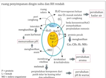 Tabel 1. Prediksi Umur Simpan 