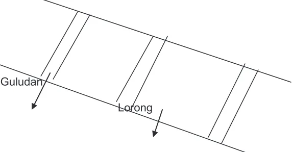 Gambar 2. Bentuk Budidaya Lorong  