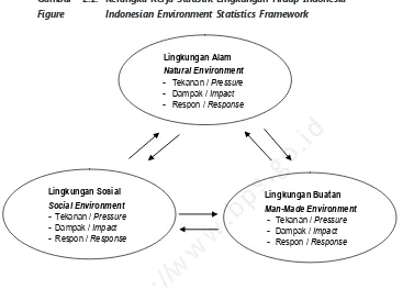 Gambar 2.1. Kerangka Kerja Statistik Lingkungan Hidup Indonesia