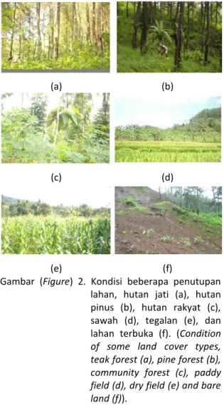 Gambar  (Figure)  2.  Kondisi  beberapa  penutupan  lahan,  hutan  jati  (a),  hutan  pinus  (b),  hutan  rakyat  (c),  sawah  (d),  tegalan  (e),  dan  lahan  terbuka  (f)