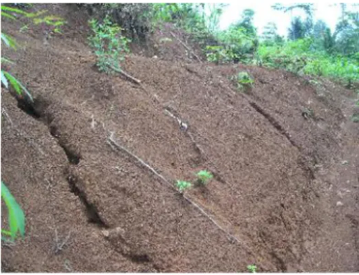 Gambar 4. Tanah di lahan pertanian rentan erosi 4.5. Saluran Drainase di Lahan Pertanian