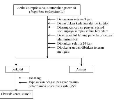 Gambar 6. Bagan 1. Pembuatan ekstrak serbuk simplisia daun tumbuhan pacar Air     (Impatiens balsaminna L.) 