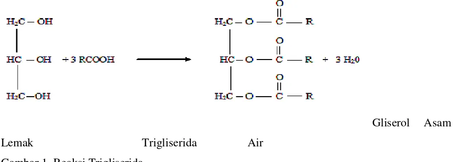 Gambar 1. Reaksi Trigliserida 