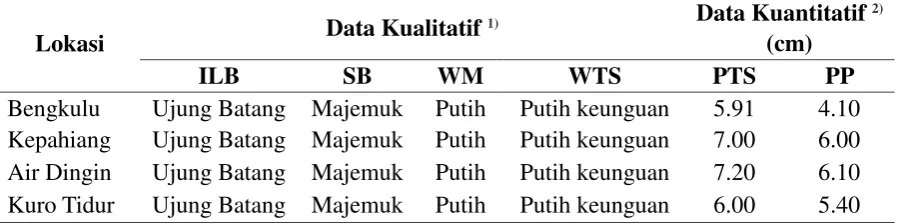 Tabel 7. Identifikasi morfologi bunga tanaman kumis kucing. 