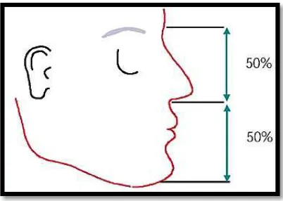 Gambar 7. Pengukuran dimensi vertikal wajah berdasarkan penilaian 
