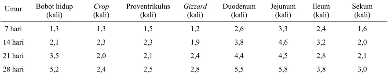 Tabel 6. Perkembangan bobot saluran pencernaan ayam anak silangan Pelung x Kampung umur 7-28 hari terhadap panjang  segmen saluran pencernaan ayam anak baru menetas 