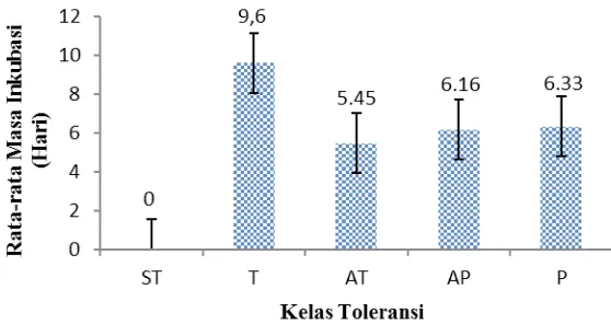 Gambar 1. Rata-rata Masa Inkubasi Tiap Kelas ToleransiKeterangan : ST = Sangat Toleran, T = Toleran, AT = Agak Toleran, AP = Agak Peka, P = Peka.