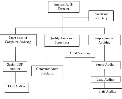 Gambar 2.4 Struktur Organisasi Audit Internal dipimpin oleh Direktur Internal Audit 