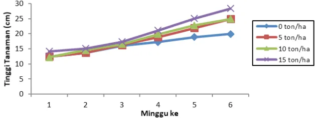 Gambar 2. Pola pertumbuhan tinggi tanaman selada pada dosis pupuk kandang yang berbeda.